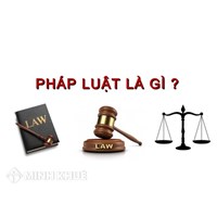 Bàn luận về khái niệm và dấu hiệu của đời sống pháp luật 