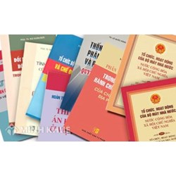 Các quy chế pháp lý bảo vệ quyền của người bị hại tại Việt Nam