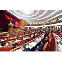 Vi phạm về quan điểm chính trị và chính trị nội bộ 