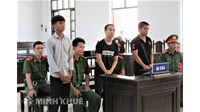 Việc tham gia tố tụng người dưới 18 tuổi của người đại diện, nhà trường, tổ chức được quy định như thế nào?