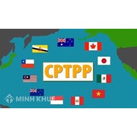 Cách xác định xuất xứ hàng hóa trong Hiệp định đối tác toàn diện và tiến bộ xuyên Thái Bình Dương (CPTPP)