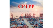 Cơ chế chứng nhận xuất xứ hàng hóa trong Hiệp định đối tác toàn diện và tiến bộ xuyên Thái Bình Dương