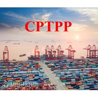 Cơ chế chứng nhận xuất xứ hàng hóa trong Hiệp định đối tác toàn diện và tiến bộ xuyên Thái Bình Dương