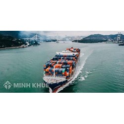 Kê khai hàng hóa xuất khẩu đạt tiêu chí hàm lượng giá trị khu vực (RVC) như thế nào?