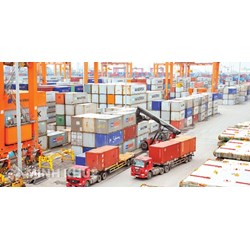 Khai báo hồ sơ thương nhân để đề nghị cấp C/O mẫu CPTPP và C/O mẫu EUR.1