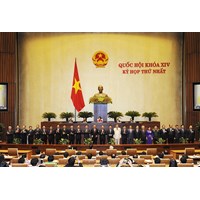 Tổ chức và hoạt động của Chính phủ theo quy định của pháp luật Việt Nam?