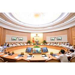 Thực trạng tổ chức và hoạt động của Chính phủ trong từng giai đoạn?