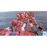 Nghĩa vụ của người chuyên chở trước và lúc bắt đầu hành trình theo Quy tắc Hague