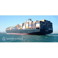 Nghĩa vụ vận chuyển, bảo quản và chăm sóc hàng hóa của người chuyên chở theo Quy tắc Hague
