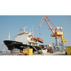 Nghĩa vụ Dỡ hàng của người chuyên chở theo quy tắc Hague
