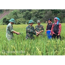 Kết hợp nhân quyền với các vấn đề xóa nghèo