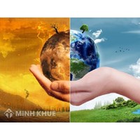 Cơ sở chính trị pháp lý quốc tế về quyền con người được sống trong một môi trường trong lành