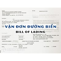 Vận tải đơn là gì? Nghĩa vụ của người chuyên chở trong việc cấp vận tải đơn. Giá trị pháp lý của vận tải đơn là gì?