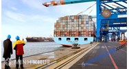 Nghĩa vụ bồi thường của người gửi hàng trong vận tải biển theo Quy tắc Hague là gì?