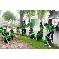 Cơ chế chính trị pháp lý bảo đảm quyền con người về môi trường ở Việt Nam 