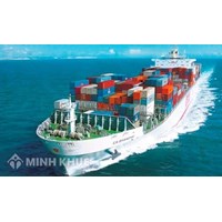 Quyền hạn và miễn trách của người chuyên chở và người xếp hàng