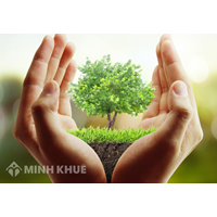 Một số kiến nghị, giải pháp hoàn thiện cơ chế bảo vệ quyền con người trong lĩnh vực môi trường ở Việt Nam