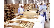 Tìm hiểu chung về Hiệp định đối tác tự nguyện giữa Liên minh châu Âu và Việt Nam về thực thi lâm luật, quản trị rừng và thương mại lâm sản