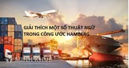 Người gửi hàng là gì? Người nhận hàng là gì? (đối chiếu Quy tắc Hague và Quy tắc Hamburg)