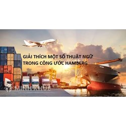 Người gửi hàng là gì? Người nhận hàng là gì? (đối chiếu Quy tắc Hague và Quy tắc Hamburg)
