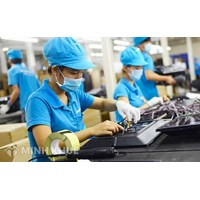 Trách nhiệm của doanh nghiệp đối với quyền con người ở Việt Nam