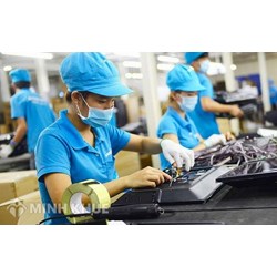 Trách nhiệm của doanh nghiệp đối với quyền con người ở Việt Nam