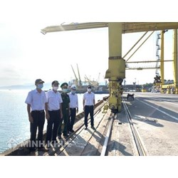 Miễn trách đối với người chuyên chở trong trường hợp do kiểm dịch và hành động/thiếu sót của người gửi hàng, chủ hàng, đại lý hay đại diện của họ