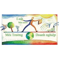 Phân tích về chính sách pháp luật bảo vệ môi trường
