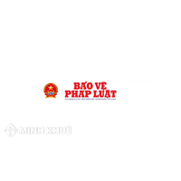 Phân tích và bình luận chính sách pháp luật bảo vệ 