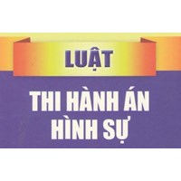 Nguyên tắc nhân đạo, bình đẳng trước pháp luật và trước Cơ quan thi hành án trong Luật thi hành án hình sự nước ta hiện nay?