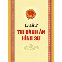 Nguyên tắc tôn trọng, bảo đảm các quyền và tự do cơ bản của con người và của công dân và một số nguyên tắc khác trong thi hành án hình sự?