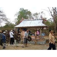 Kỷ luật Đảng viên vi phạm về đạo đức, nếp sống văn minh