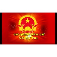 Kiểm tra, giám sát của các cơ quan dân cử?