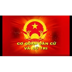 Kiểm tra, giám sát của các cơ quan dân cử?