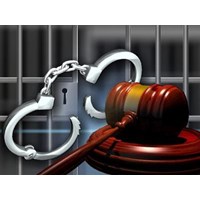  Kiểm tra, giám sát hoạt động thi hành án hình sự của các tổ chức xã hội và công dân và thi hành án tử hình?