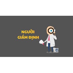 Quy định về người giám định trong Bộ luật tố tụng hình sự mới nhất