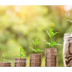 Lịch sử ra đời của hộ kinh doanh và doanh nghiệp tư nhân ở Việt Nam qua các thời kỳ?