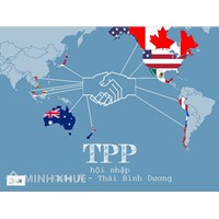 Các mức độ hội nhập của các Hiệp định thương mại quốc tế