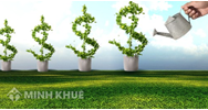 Một số lưu ý về quy chế thành lập doanh nghiệp tư nhân?