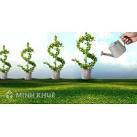 Một số lưu ý về quy chế thành lập doanh nghiệp tư nhân?