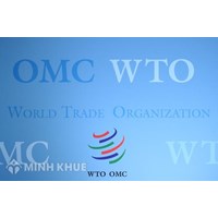 Phân tích và bình luận điều khoản của WTO về RTAs và các vấn đề liên quan 