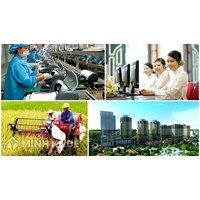 Vai trò nhà nước trong nền kinh tế của một quốc gia và các khái niệm có liên quan 