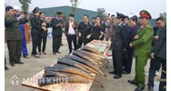 Tìm hiểu về vật chứng - một nguồn chứng cứ quan trọng
