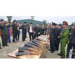 Tìm hiểu về vật chứng - một nguồn chứng cứ quan trọng