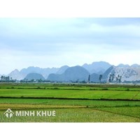Quyền sử dụng đất do hợp tác xã giao từ năm 1991 được quy định như thế nào?