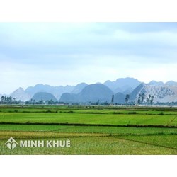 Quyền sử dụng đất do hợp tác xã giao từ năm 1991 được quy định như thế nào?