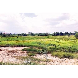 Có được phép chuyển đất khai hoang sang đất có sổ đỏ hay không?