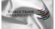 Bàn luận về những vấn đề liên quan đến Tổ chức thương mại thế giới (WTO)