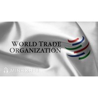 Bàn luận về những vấn đề liên quan đến Tổ chức thương mại thế giới (WTO)