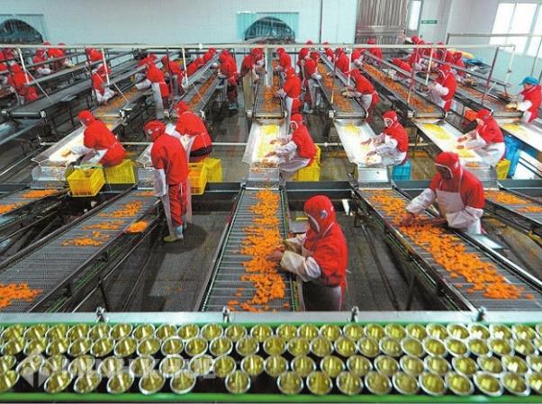 Khái niệm nông sản chế biến, hàng nông sản theo Hiệp định nông nghiệp của WTO